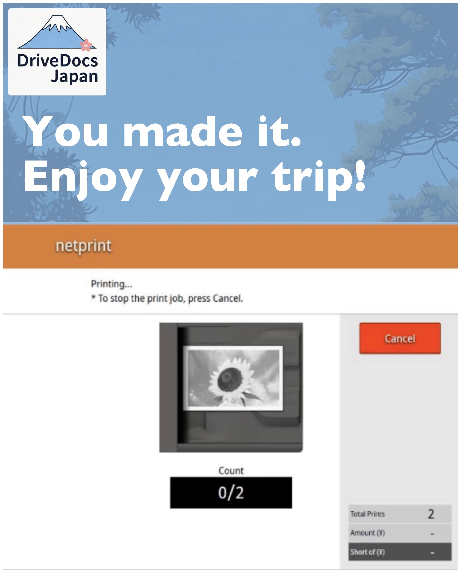Erfolgreich ausgedruckte japanische Führerscheinübersetzung. Dieses Dokument ist zwingend für die Anmietung eines Mietwagens in Japan erforderlich.
